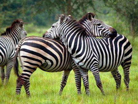 Lake-Mburo-National-Park1